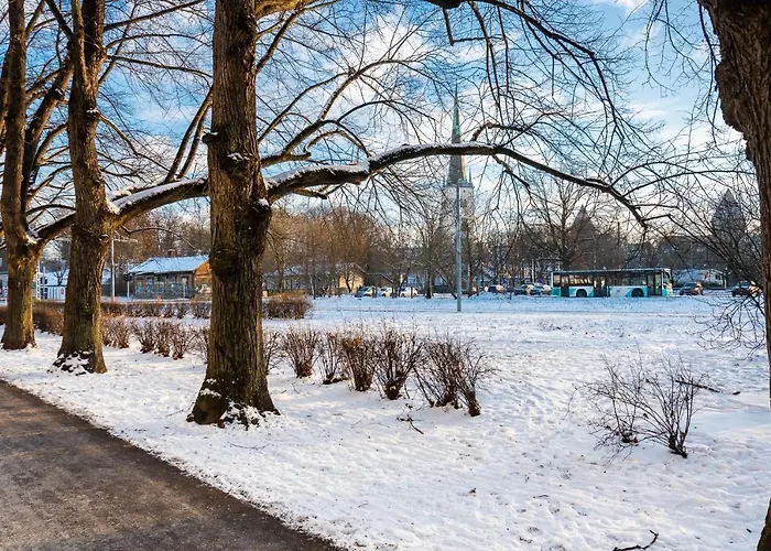 Free Parking, Quiet, One-bedroom At Kalamaja *